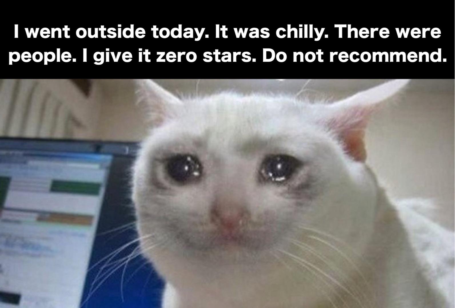 I went outside today. It was chilly. There were people. I give it zero stars. Do not recommend.