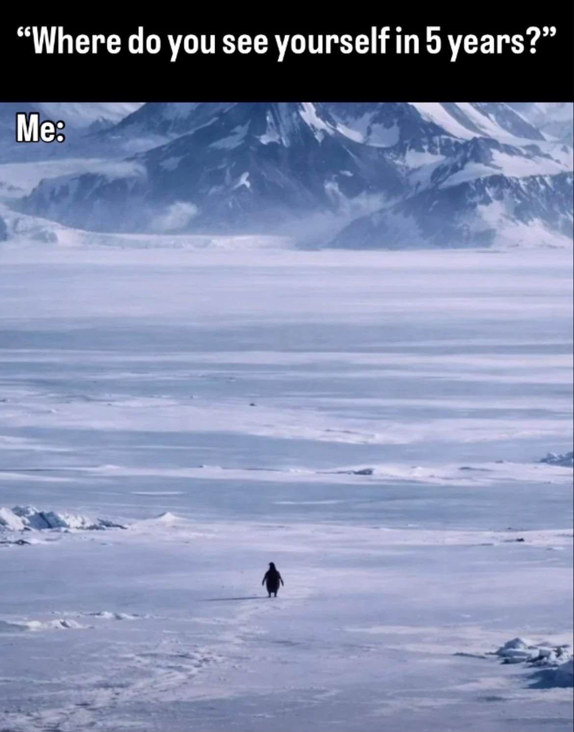 "Where do you see yourself in 5 years?" Me: