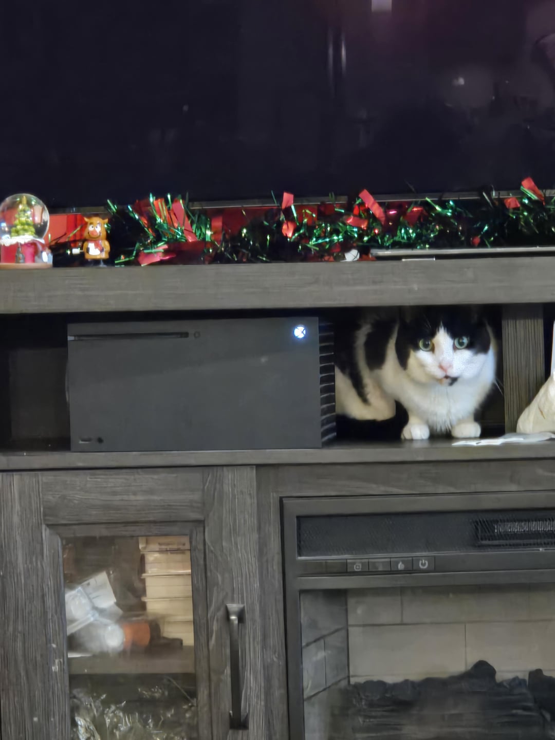 Xbox overheats because of the cat