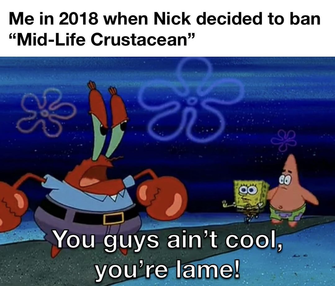 Me in 2018 when Nick decided to ban "Mid-Life Crustacean❞ You guys ain't cool, you're lame!
