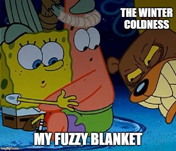 THE WINTER COLDNESS imgflip.com MY FUZZY BLANKET