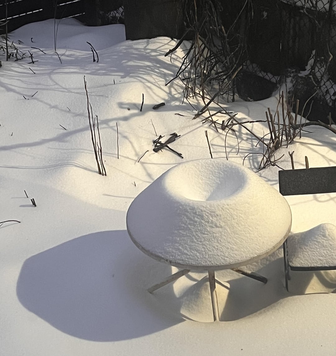 How snow collected on this table