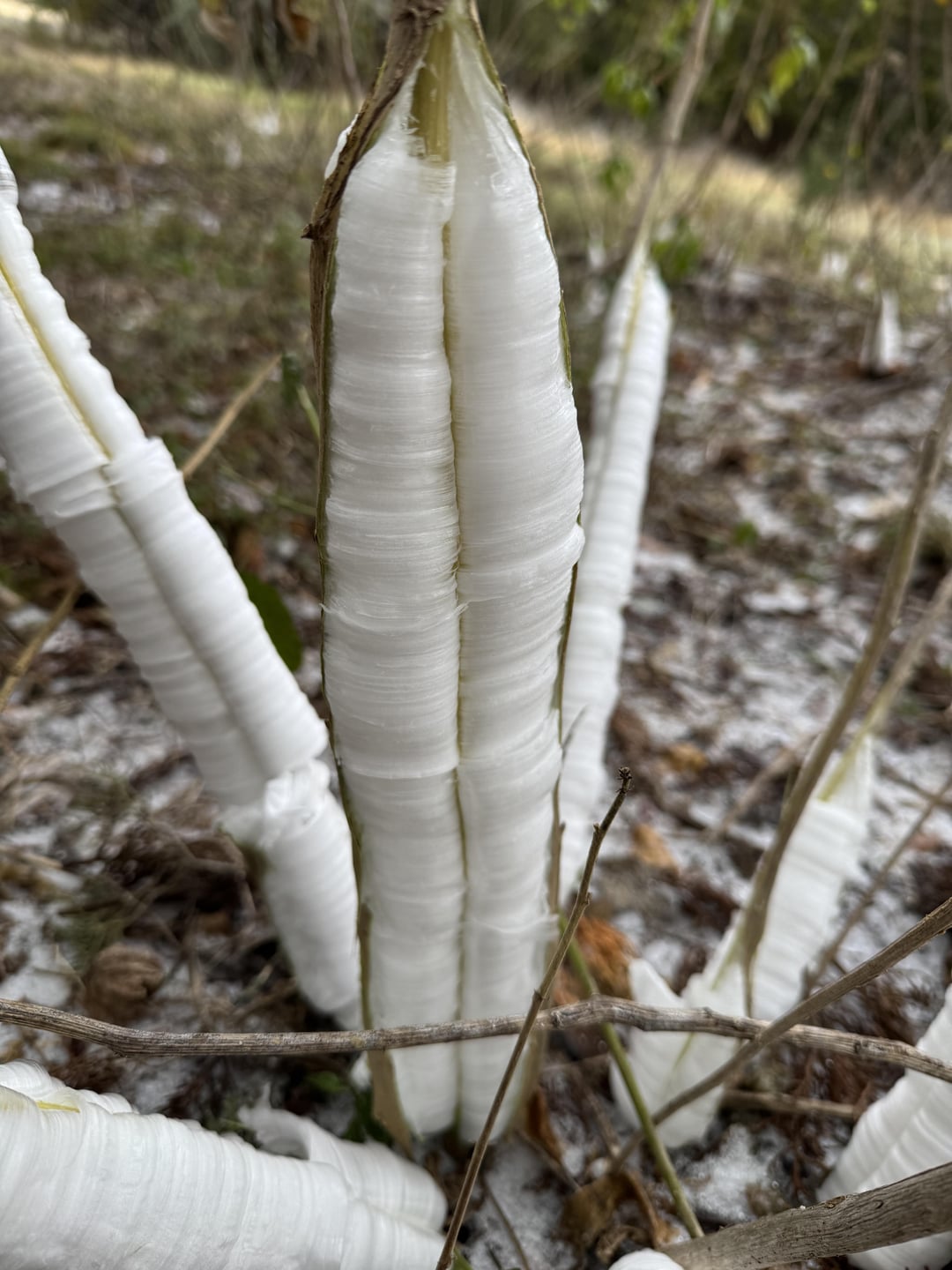 This plant exploded in the Texas freeze