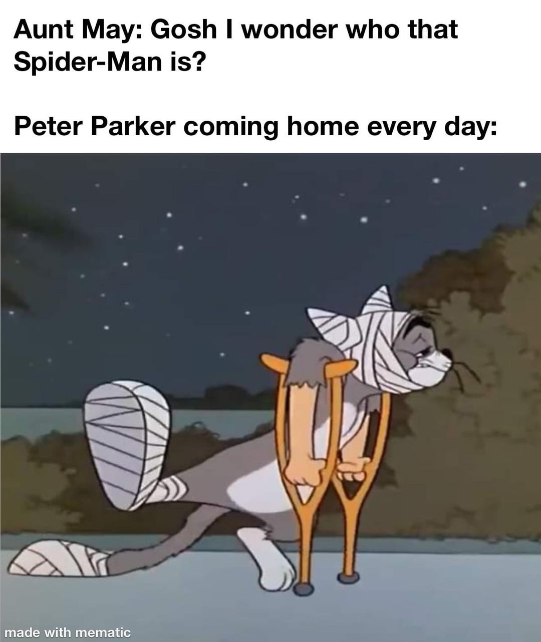 Aunt May: Gosh I wonder who that Spider-Man is? Peter Parker coming home every day: made with mematic
