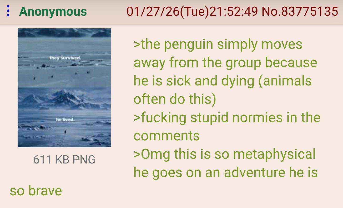 : Anonymous they survived. he lived. 611 KB PNG so brave 01/27/26(Tue)21:52:49 No. 83775135 >the penguin simply moves away from the group because he is sick and dying (animals often do this) >f------ stupid normies in the comments >Omg this is so metaphysical he goes on an adventure he is