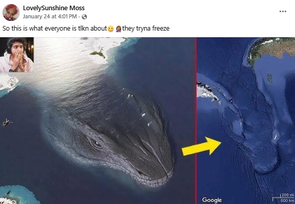 A Facebook post about the Leviathan conspiracy theory. It reads, "So this is what everyone is tlkn about🤐🤦🏽‍♀️they tryna freeze."