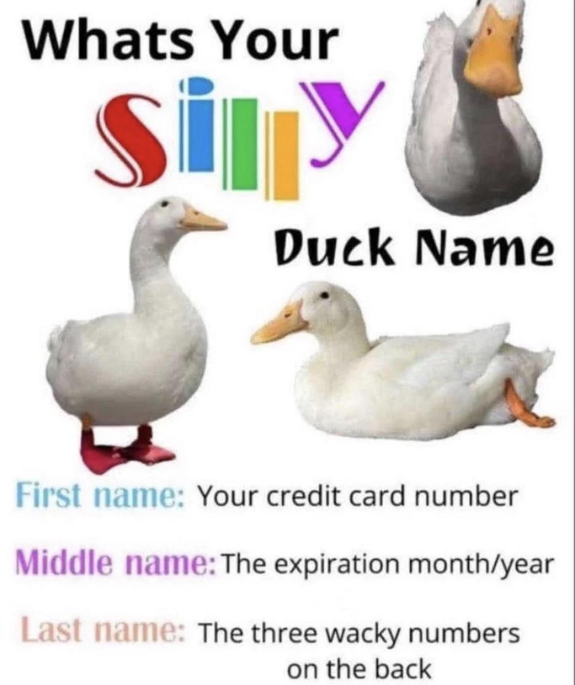 Dm me your silly duck name! | /r/memes | Know Your Meme