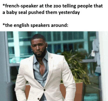 *french-speaker at the zoo telling people that a baby seal pushed them yesterday *the english speakers around: