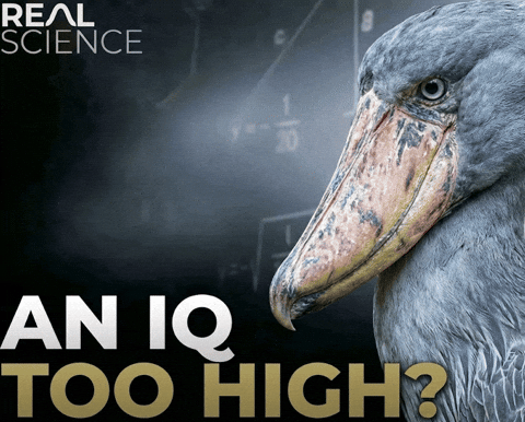 Variation of An IQ Too High? Meme