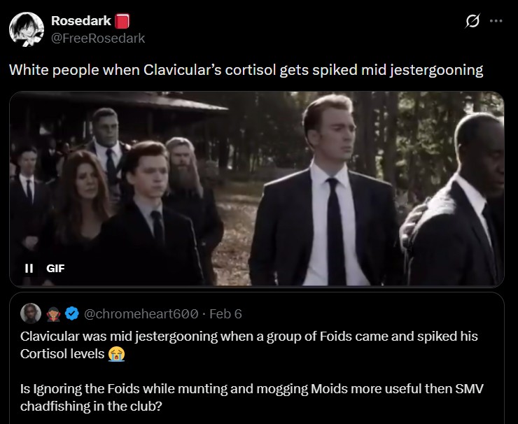 Rosedark @FreeRosedark 0 White people when Clavicular's cortisol gets spiked mid jestergooning II GIF @chromeheart600 • Feb 6 Clavicular was mid jestergooning when a group of Foids came and spiked his Cortisol levels Is Ignoring the Foids while munting and mogging Moids more useful then SMV chadfishing in the club?