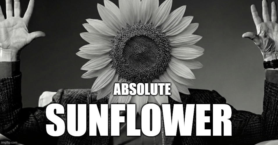 imgflip.com ABSOLUTE SUNFLOWER