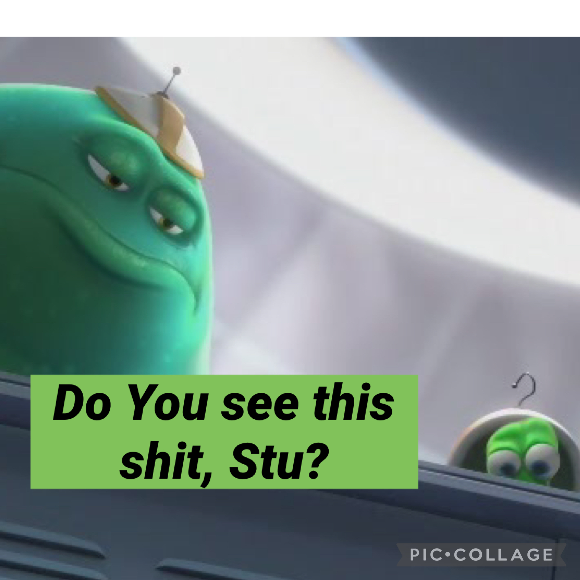 Do You see this s---, Stu? PIC COLLAGE