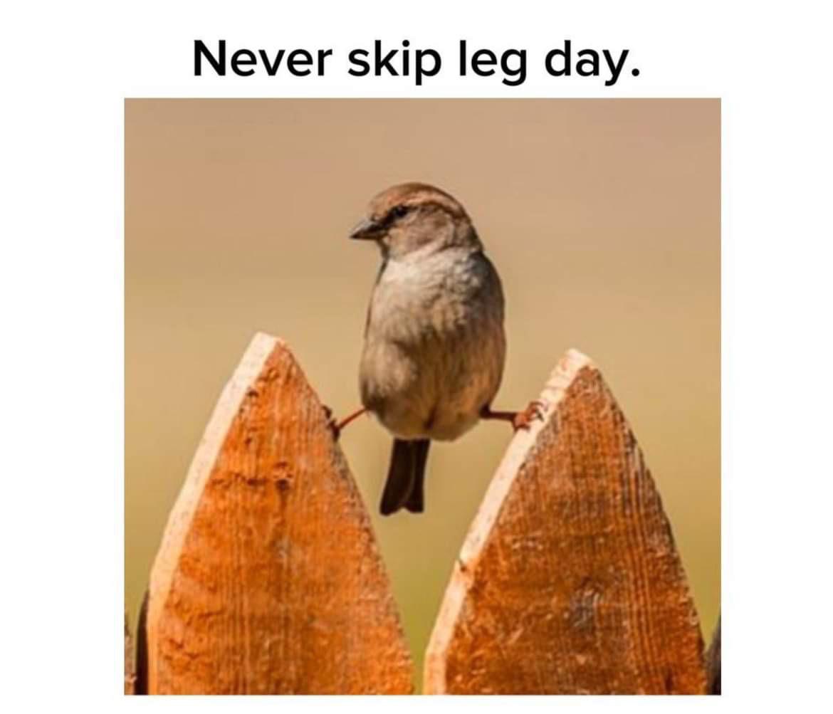 Never skip leg day.