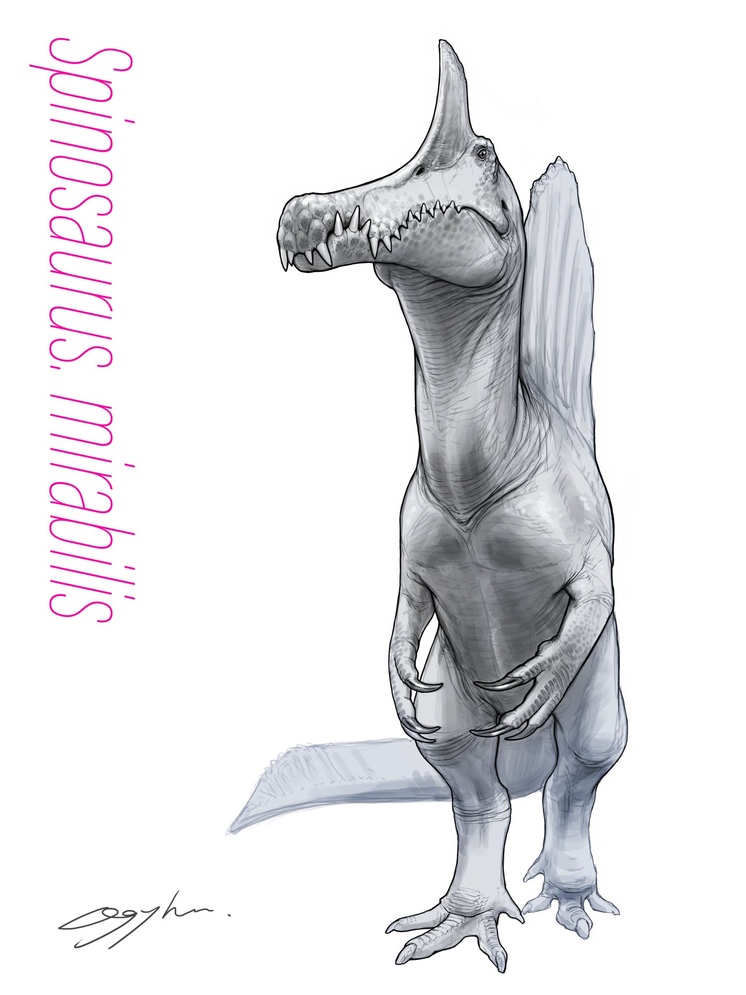 Spinosaurus. mirabilis my 166
