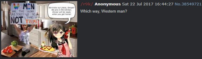A "Which Way, Western Man?" example of the catchphrase being used on 4chan from mid-2017, alongside an image of politics.