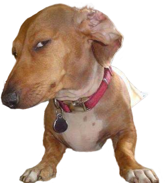 Transparent Template 