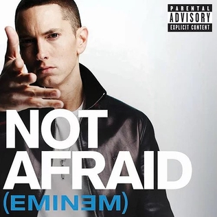 The original single cover art for Eminem's song "Not Afraid," which was later used in the Woe Plague Be Upon Ye and Eminem Throwing Things memes.
