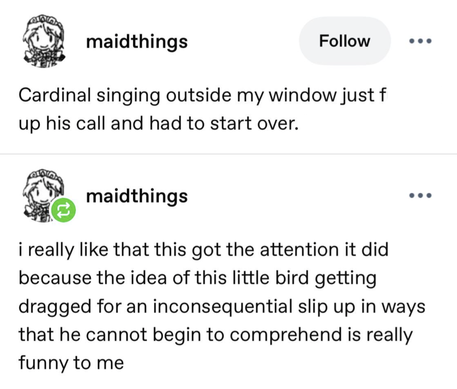 maidthings Follow Cardinal singing outside my window just f up his call and had to start over. maidthings i really like that this got the attention it did because the idea of this little bird getting dragged for an inconsequential slip up in ways that he cannot begin to comprehend is really funny to me