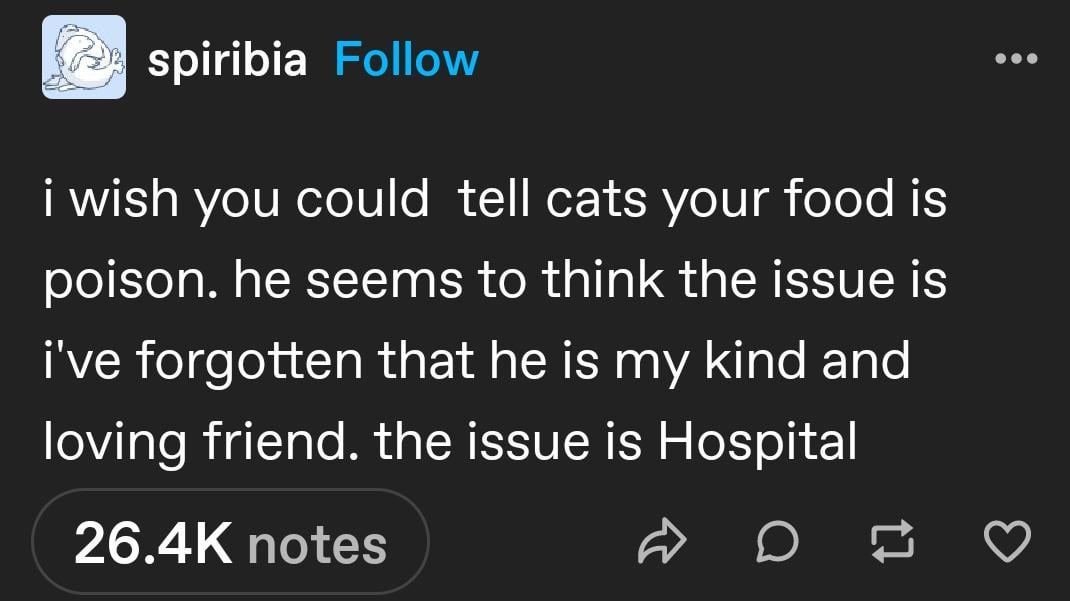 spiribia Follow i wish you could tell cats your food is poison. he seems to think the issue is i've forgotten that he is my kind and loving friend. the issue is Hospital 26.4K notes D