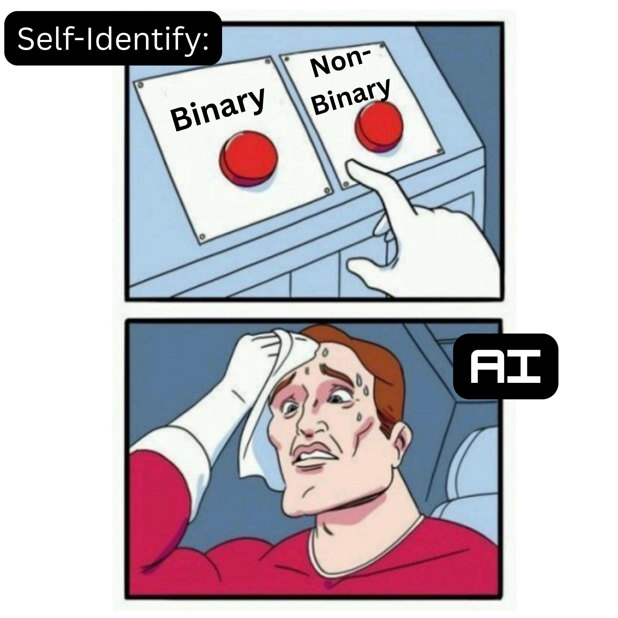 Self-Identify: Non- Binary Binary AI