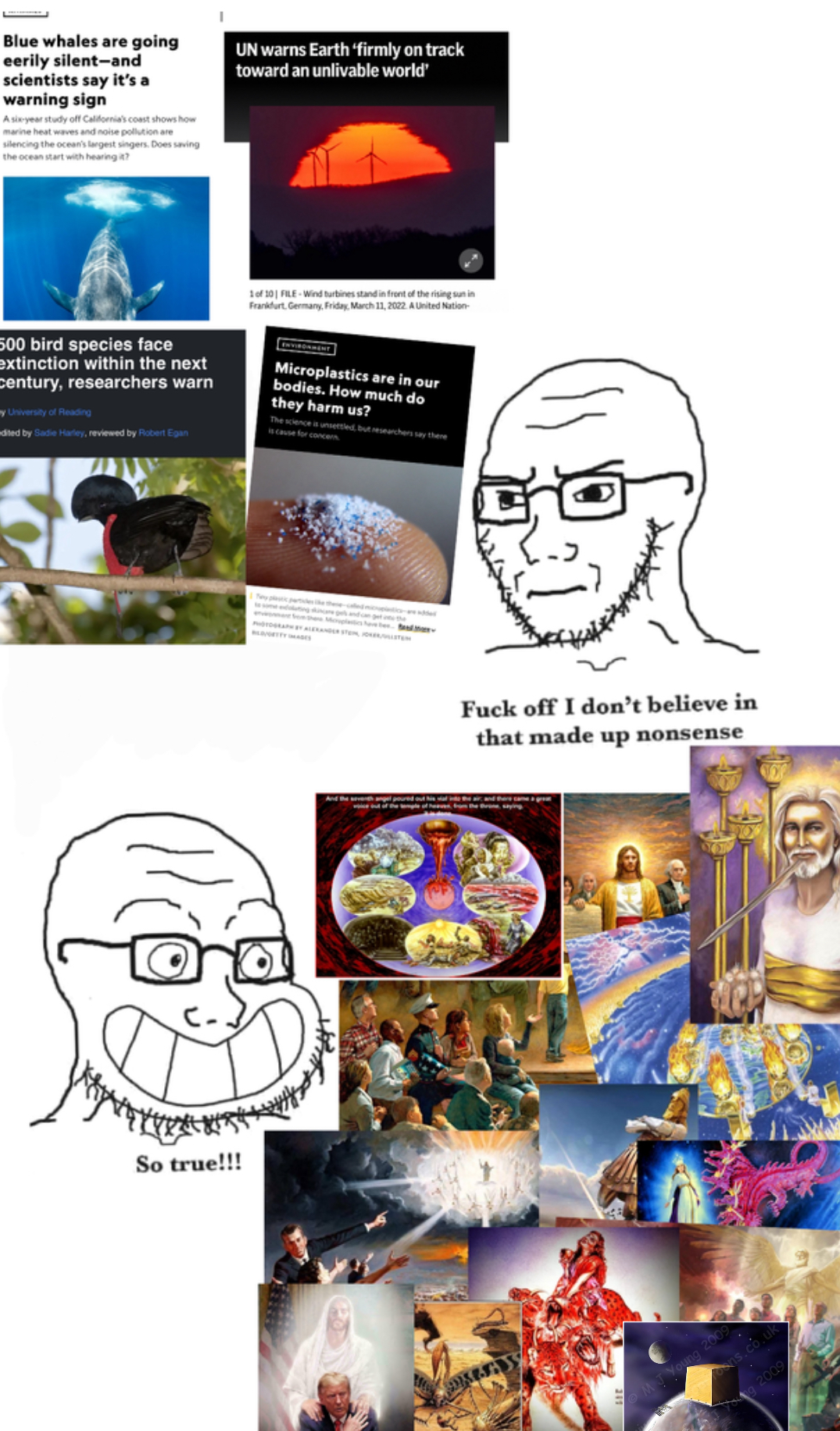 Blue whales are going eerily silent-and scientists say it's a warning sign A six-year study off California's coast shows how marine heat waves and noise pollution are silencing the ocean's largest singers. Does saving the ocean start with hearing it? UN warns Earth 'firmly on track toward an unlivable world' 1 of 101 FILE-Wind turbines stand in front of the rising sun in Frankfurt, Germany, Friday, March 11, 2022. A United Nation- 500 bird species face extinction within the next century, researchers warn University of Reading dited by Sadie Harley, reviewed by Robert Egan Microplastics are in our bodies. How much do they harm us? The science is unsettled, but researchers say there is cause for concern So true!!! and can get the from the Moplastics have been PHOTOGRAPH BY ALEXANDER STEM, JO And the angel poured out h F--- off I don't believe in that made up nonsense MJ Young 2009 ons.co.uk ng 2009