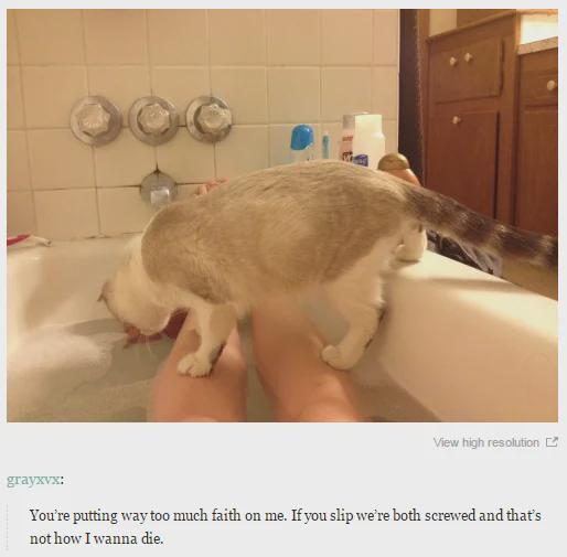 grayxvx: View high resolution You're putting way too much faith on me. If you slip we're both screwed and that's not how I wanna die.