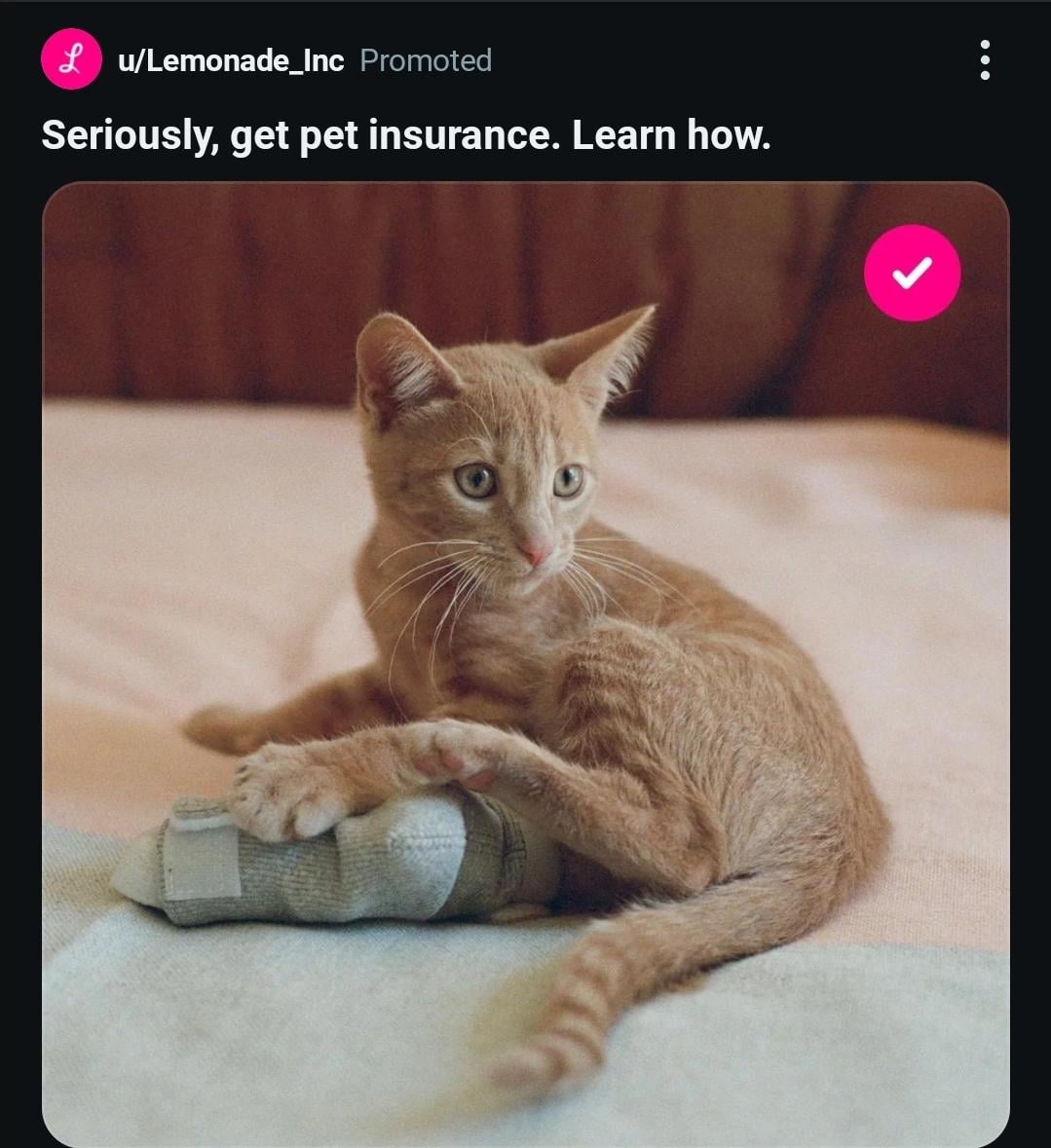 Lu/Lemonade_Inc Promoted Seriously, get pet insurance. Learn how.