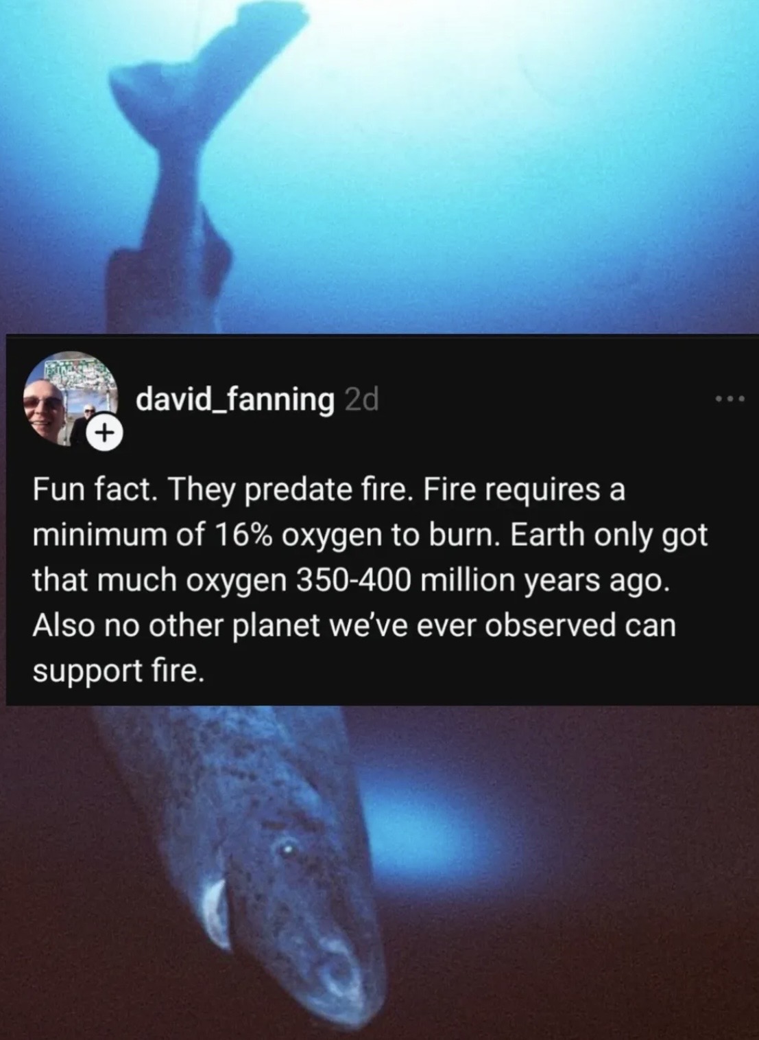 + david_fanning 2d Fun fact. They predate fire. Fire requires a minimum of 16% oxygen to burn. Earth only got that much oxygen 350-400 million years ago. Also no other planet we've ever observed can support fire.