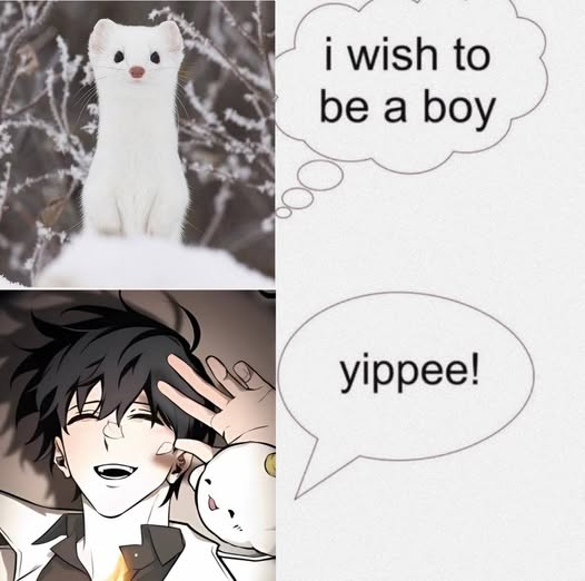 i wish to be a boy yippee!