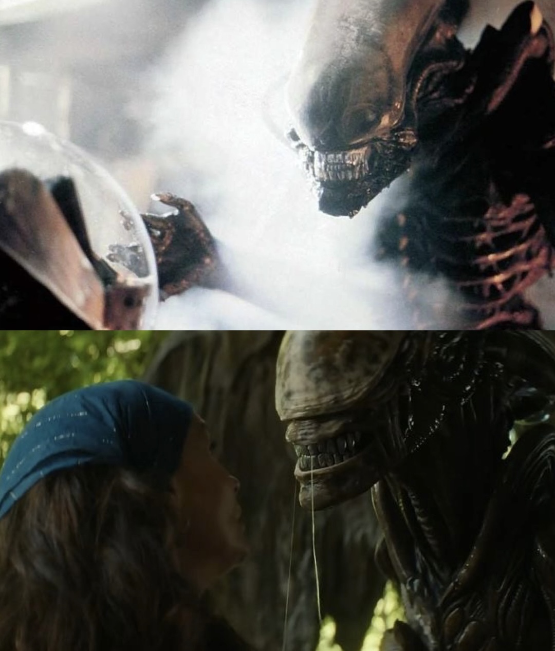 Xenomorph comparison 