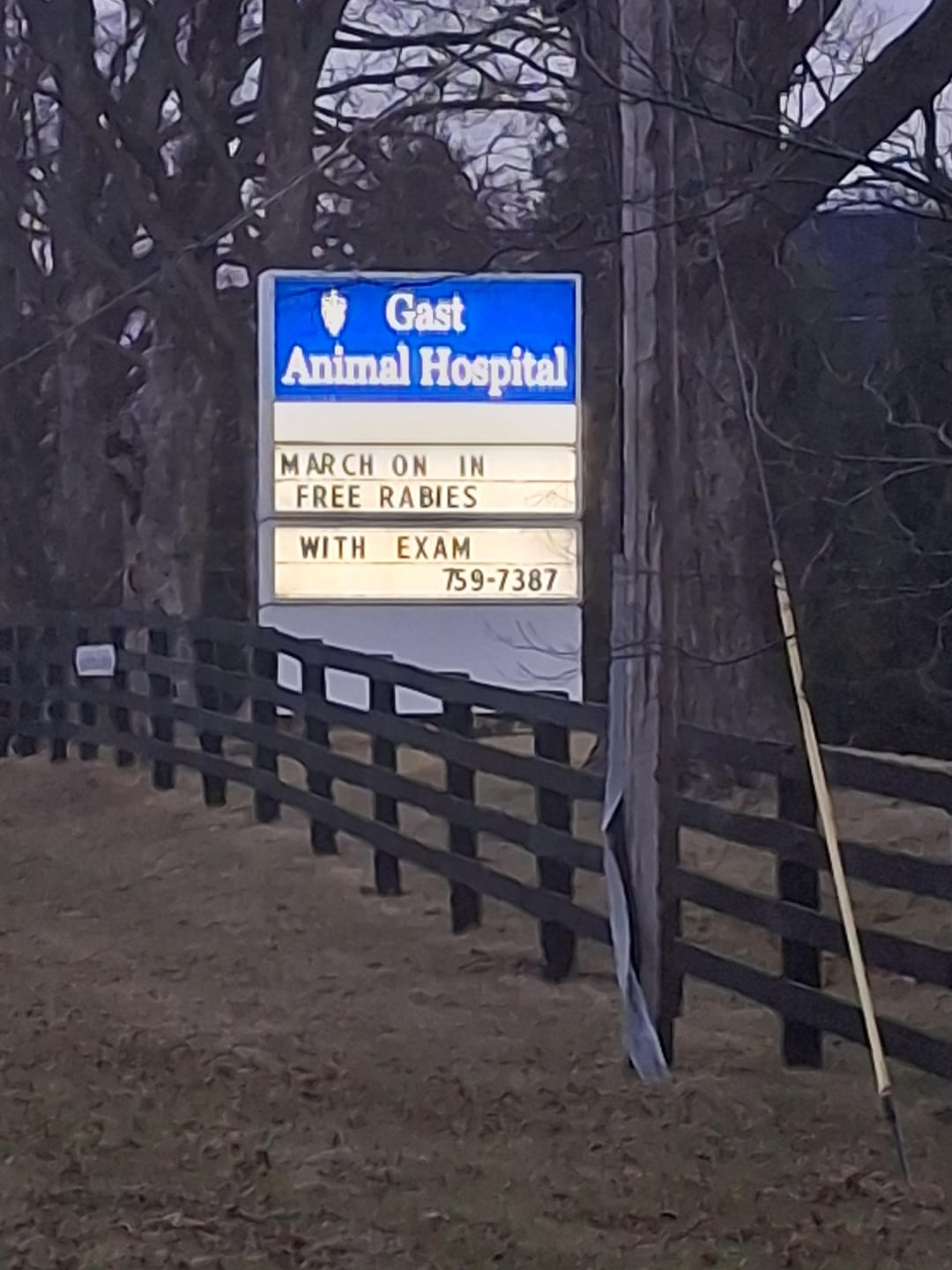 Gast Animal Hospital MARCH ON IN FREE RABIES WITH EXAM 759-7387