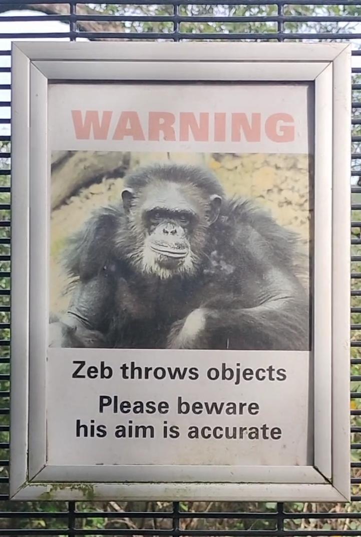 WARNING Zeb throws objects Please beware his aim is accurate