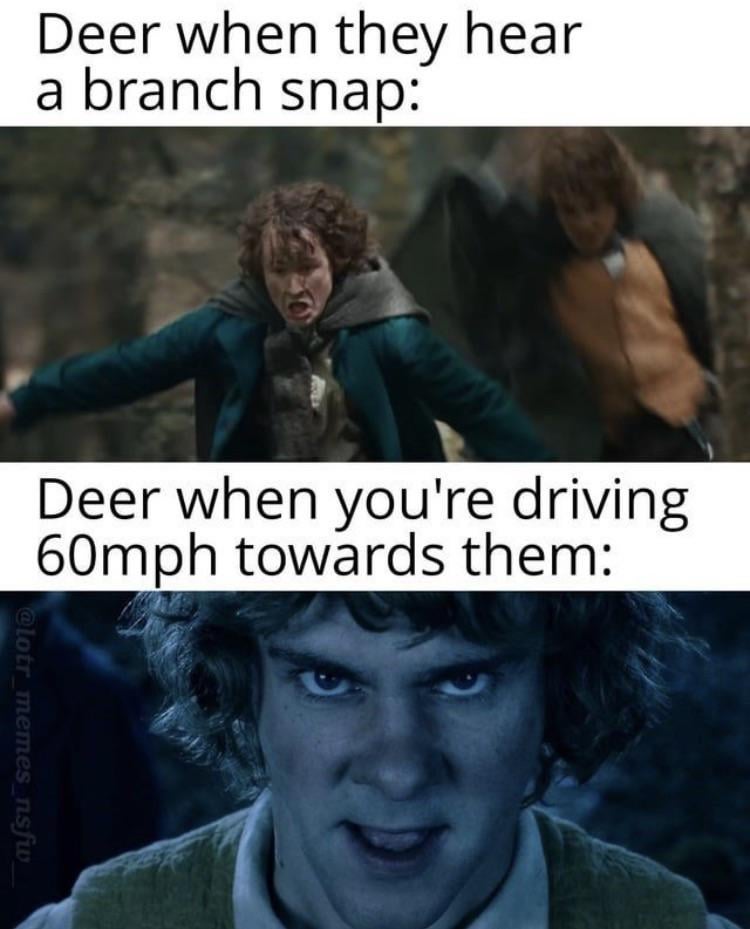 Oh deer…