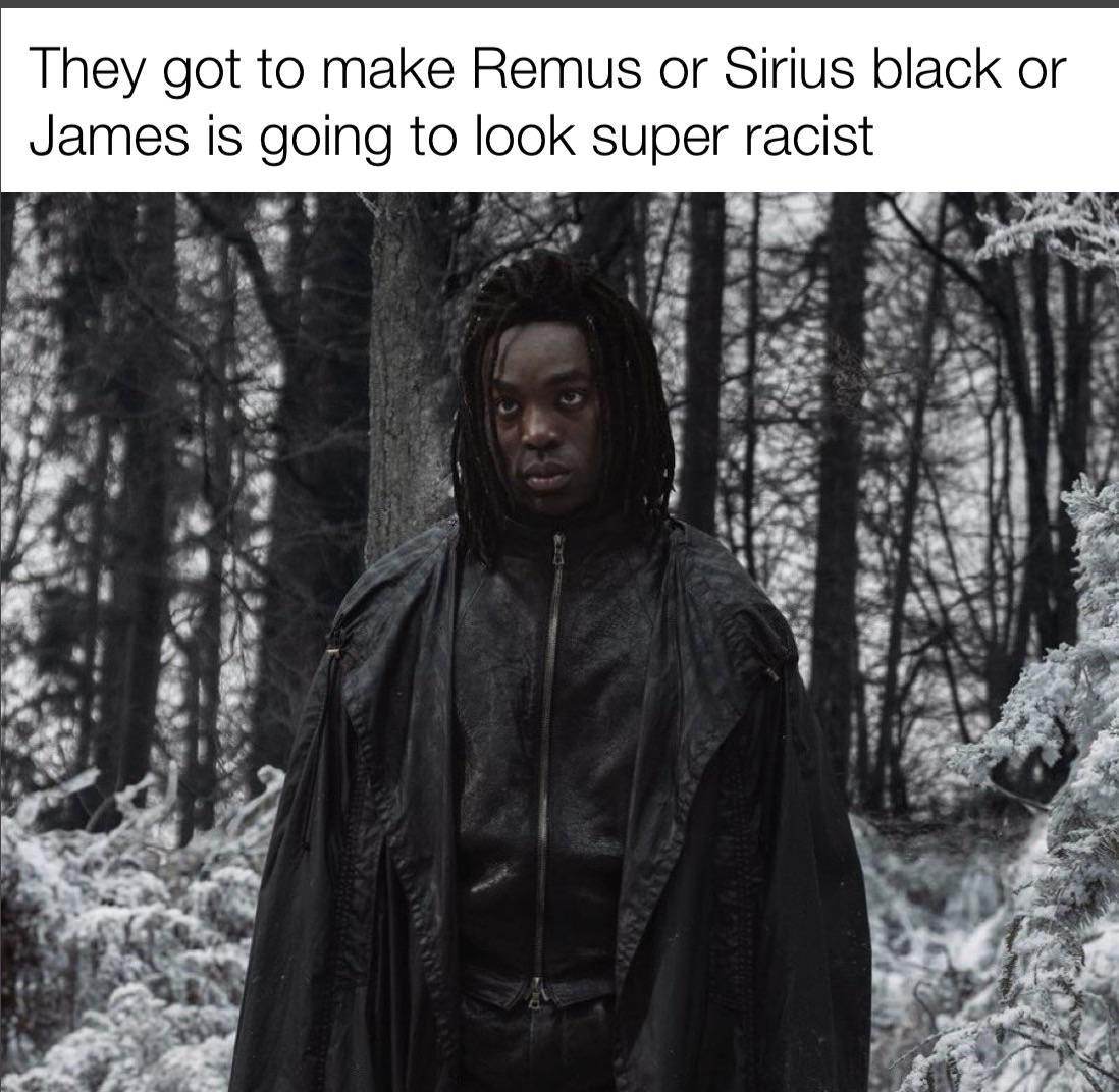 They got to make Remus or Sirius black or James is going to look super racist
