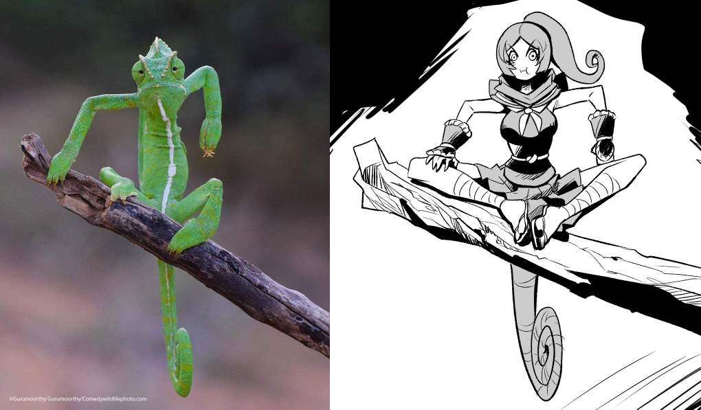 Gurumoorthy Gurumoorthy/Comedywildlifephoto.com