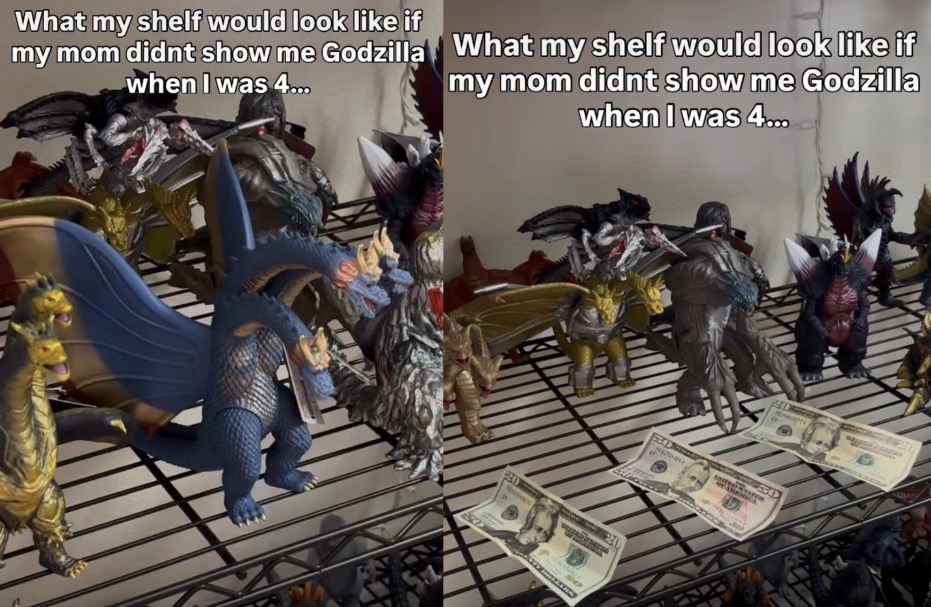 What my shelf would look like if my mom didnt show me Godzilla when I was 4.... What my shelf would look like if my mom didnt show me Godzilla when I was 4.... PETT