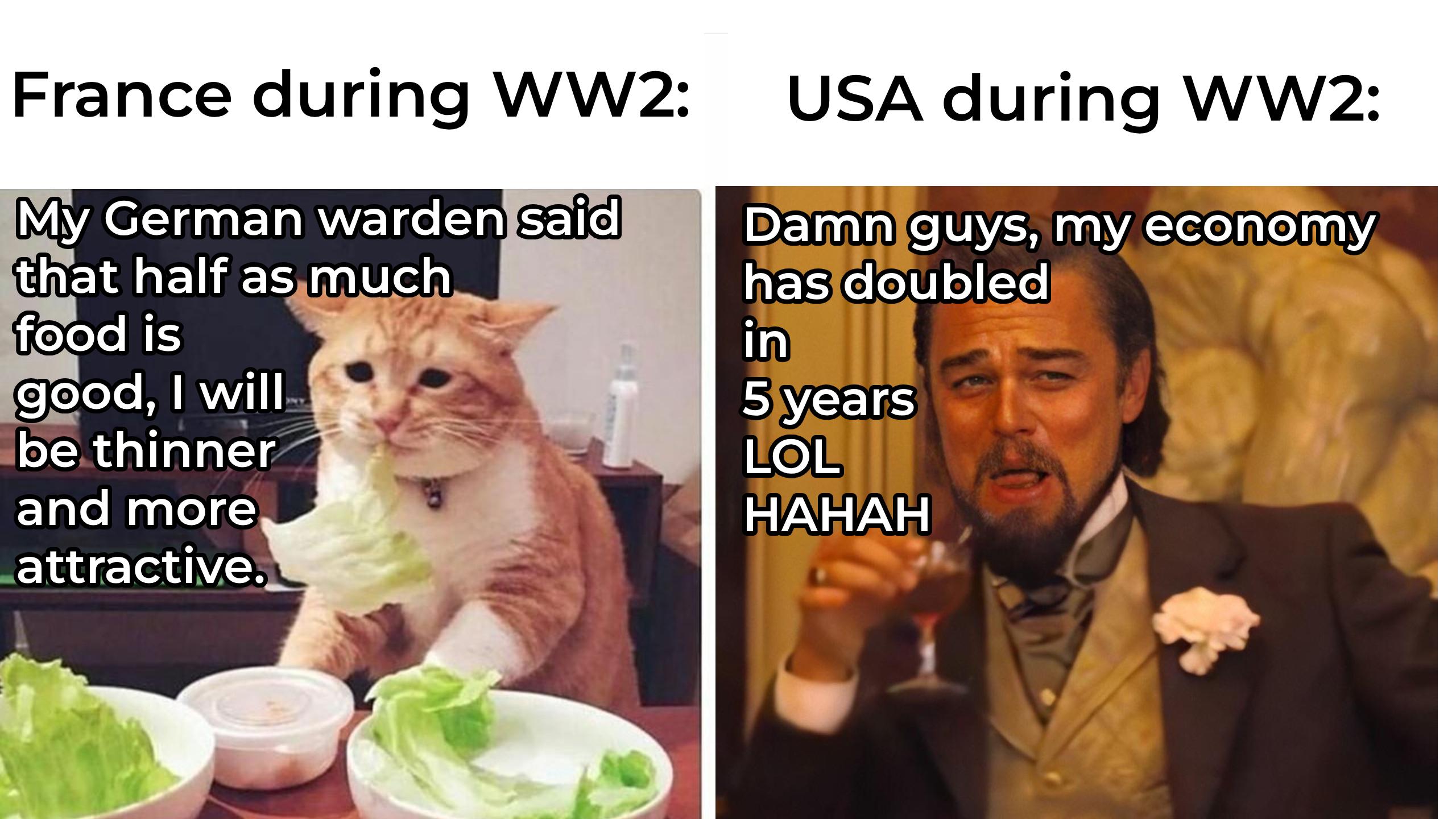 France during WW2: My German warden said that half as much food is good, I will be thinner USA during WW2: Damn guys, my economy has doubled in 5 years LOL and more attractive. HAHAH