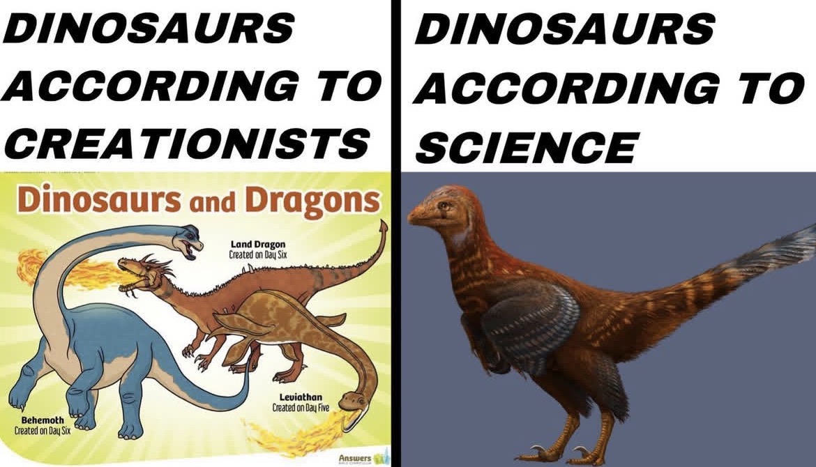 Dinosaurs according to creationists vs science Dinosaurs according to creationists vs science
