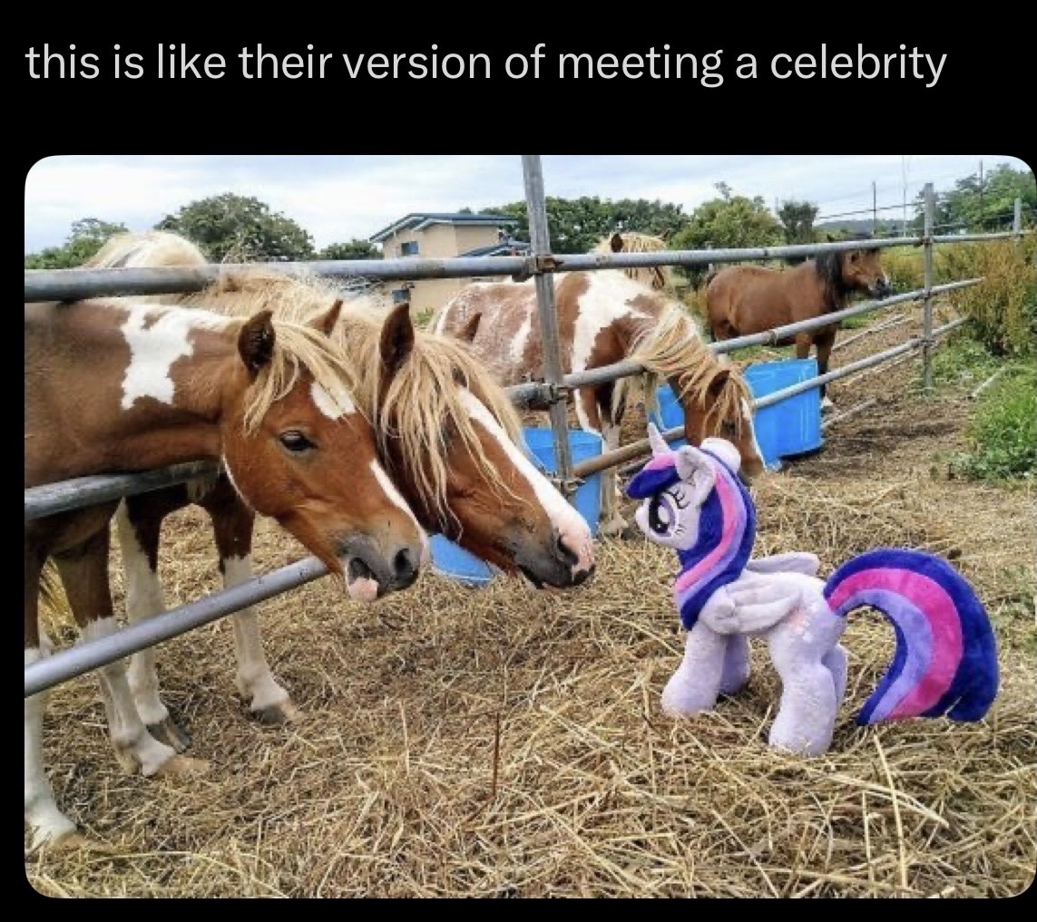 this is like their version of meeting a celebrity