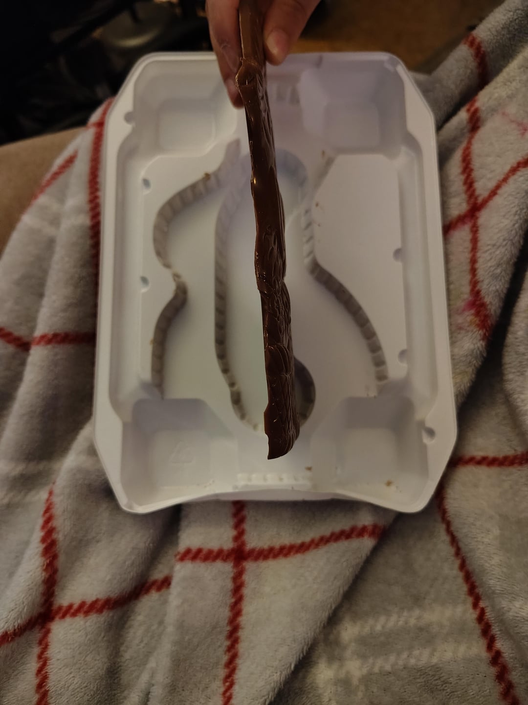 How thin this chocolate bunny is