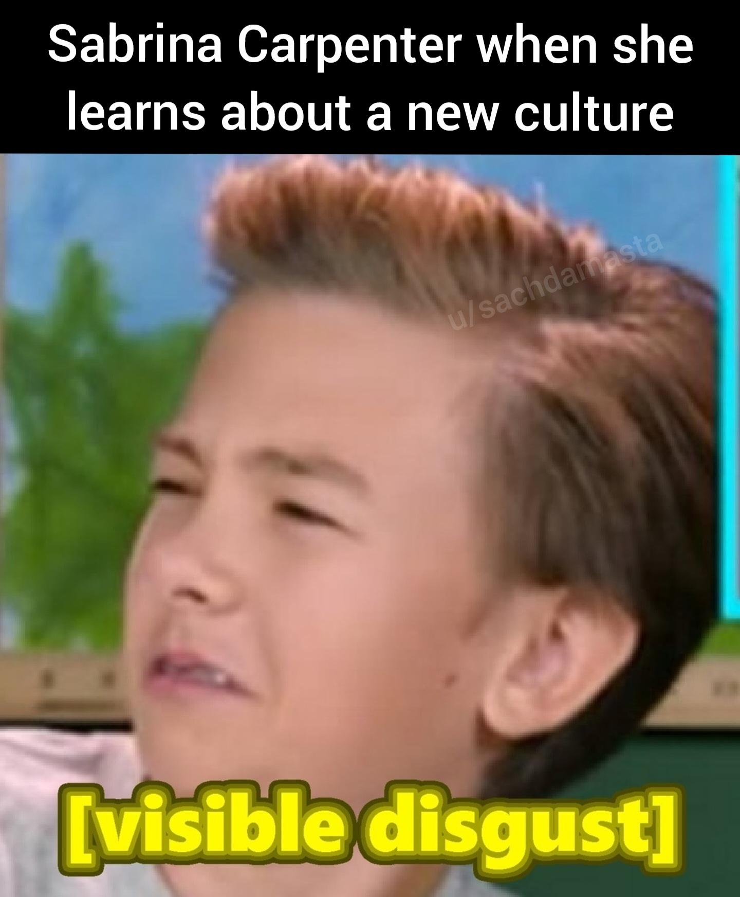 Sabrina Carpenter when she learns about a new culture u/sachdamasta [visible disgust]