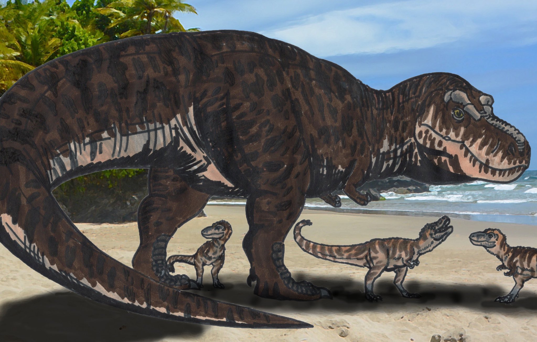 Tyrannosaurus family