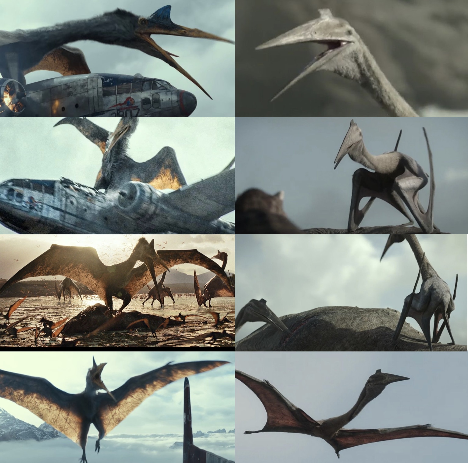 Quetzalcoatlus comparison 