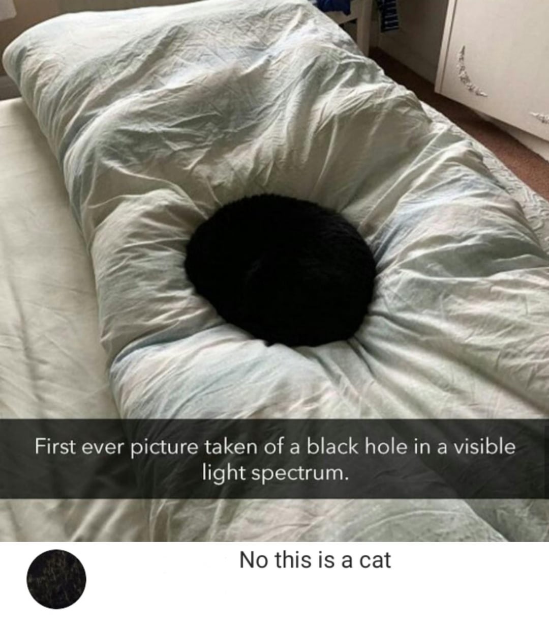 First ever picture taken of a black hole in a visible light spectrum. No this is a cat