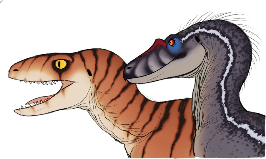 Raptors