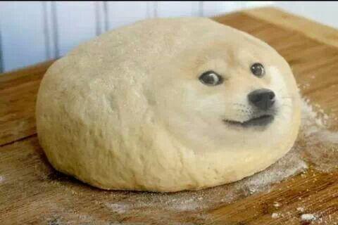 Does dogelore still have a discord server?? | /r/dogelore
