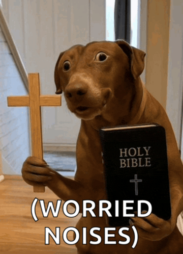 HOLY BIBLE (WORRIED NOISES)