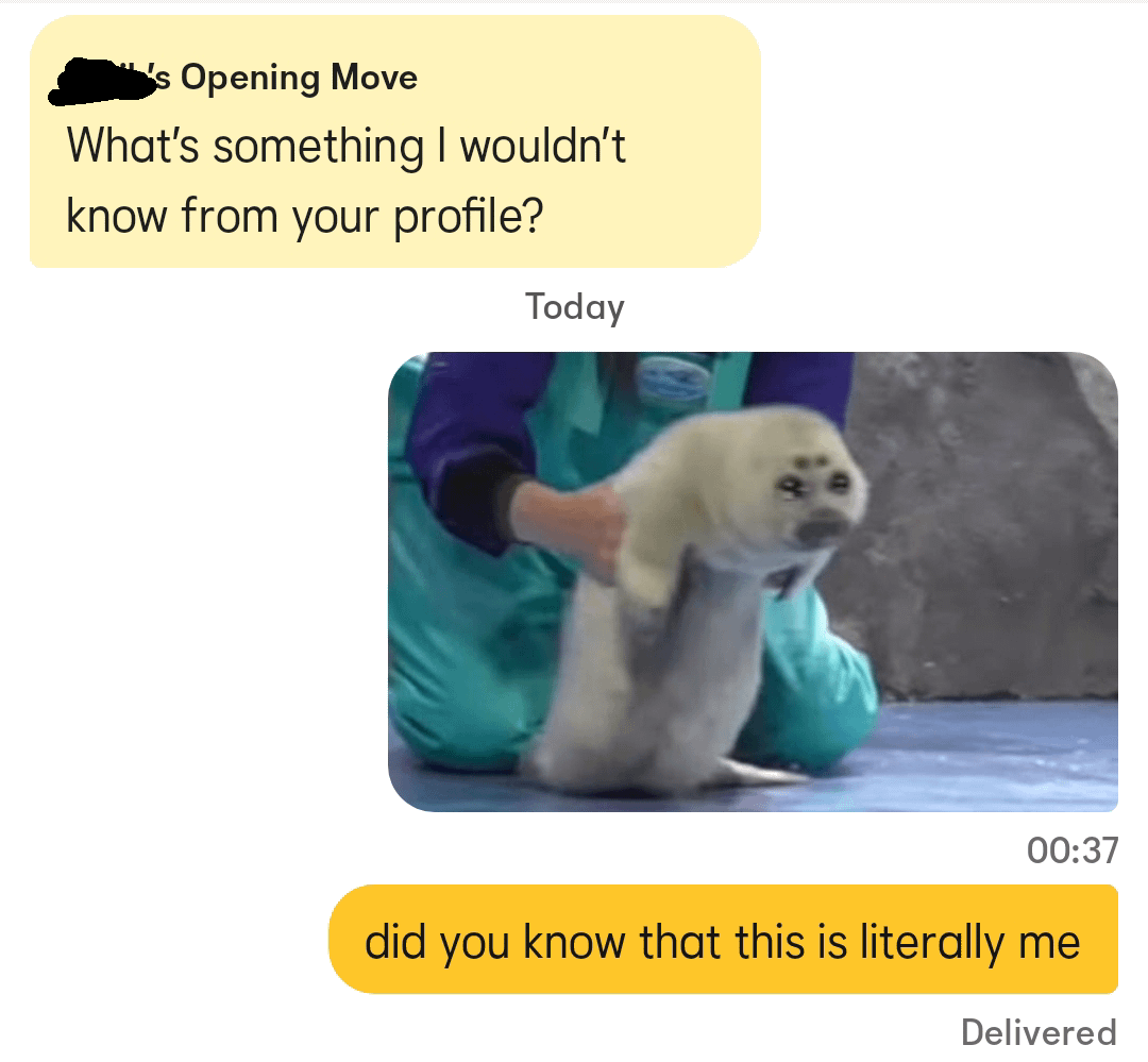 's Opening Move What's something I wouldn't know from your profile? Today 00:37 did you know that this is literally me Delivered