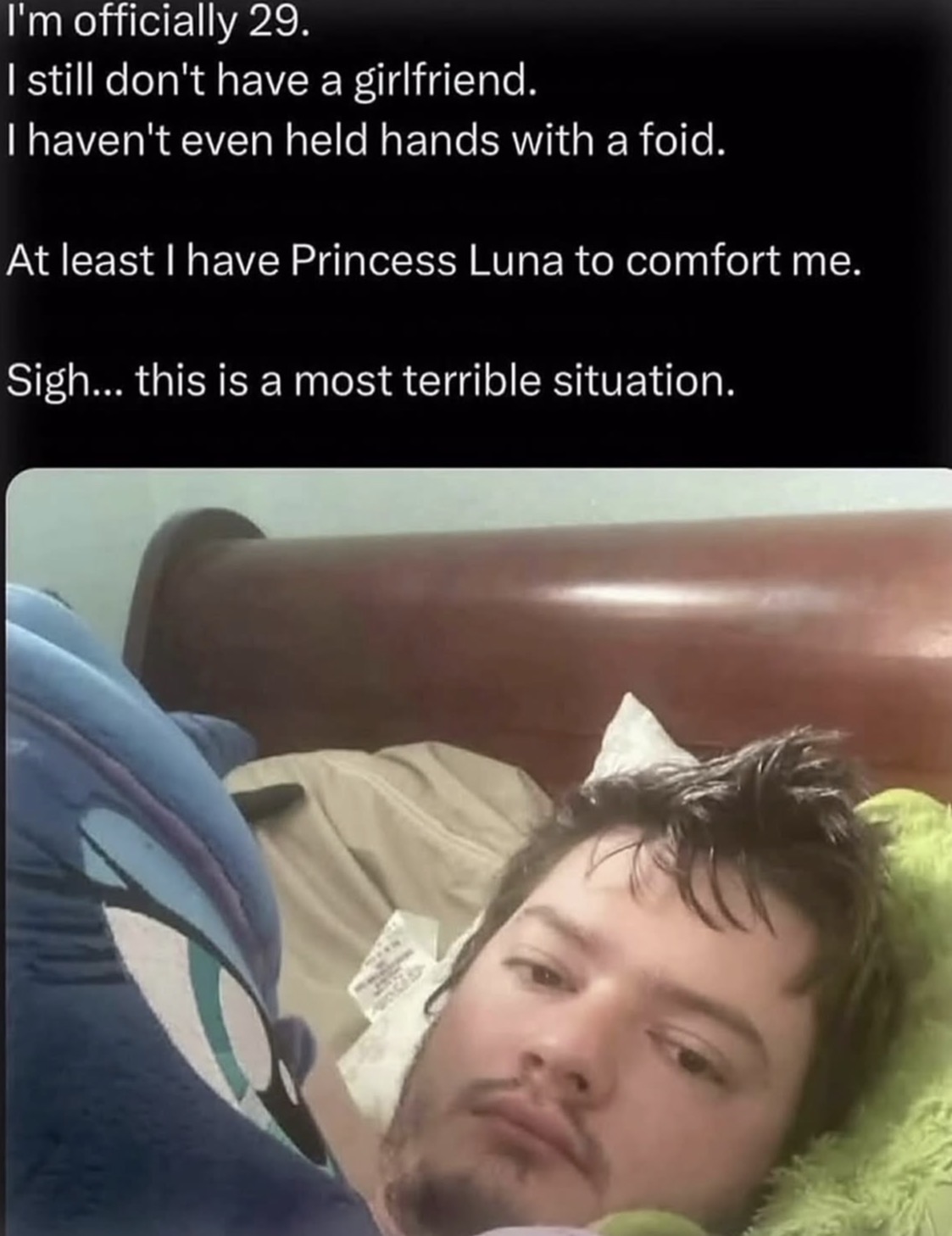 I'm officially 29. I still don't have a girlfriend. I haven't even held hands with a foid. At least I have Princess Luna to comfort me. Sigh... this is a most terrible situation.