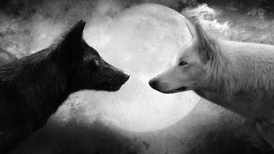 Black and White